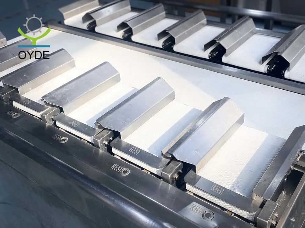 Combination Weigh Filler Weigher Fixed Weight Packing Machine