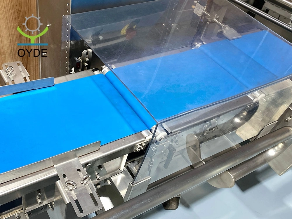 Conveyor Weighing Full-Automatic Weight System Online Checkweigher