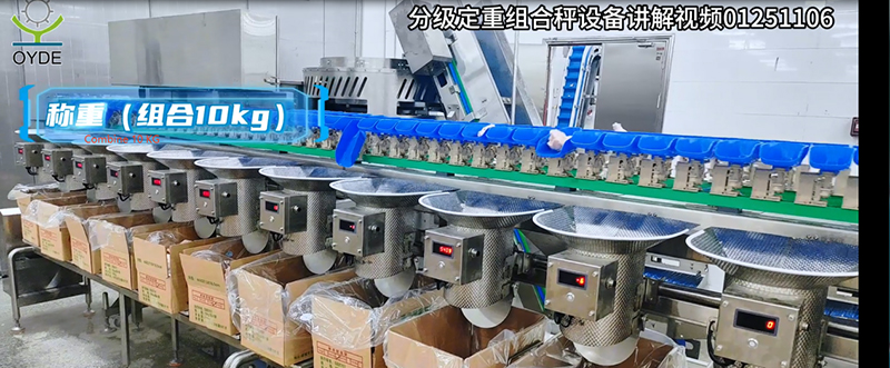 Poultry Industry Solution