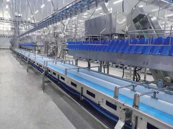 Poultry Industry Solution