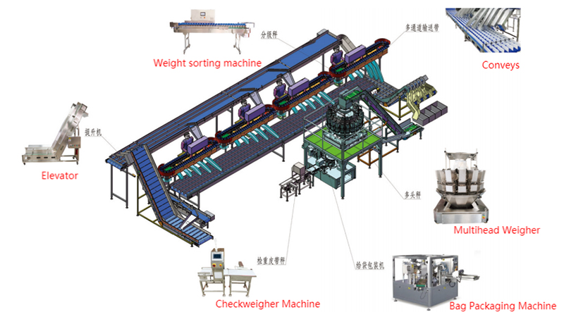 Poultry Industry Solution