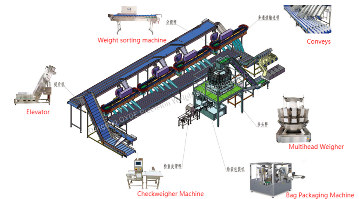 Poultry Industry Solution