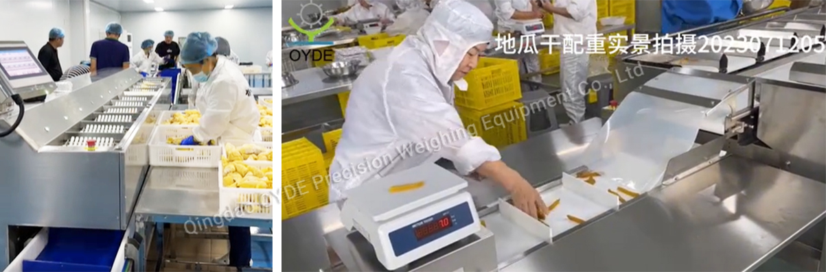 Fruits Industry Solution