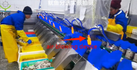 Aquatic products Industry Solution