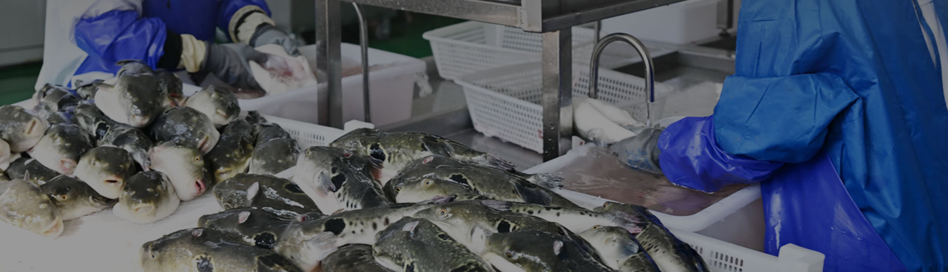 Aquatic products Industry Solution