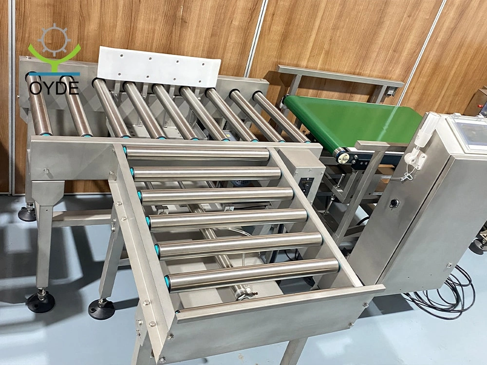 Customized Manufacturer Custom Belt Conveyor Check Weigher