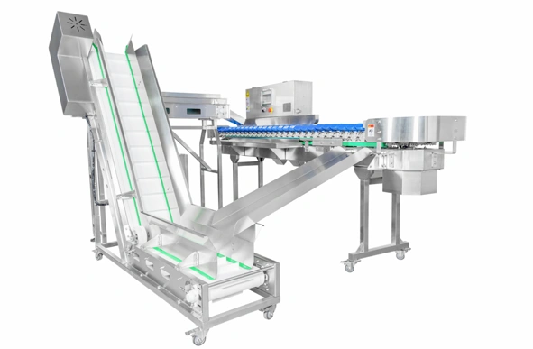 Shrimp Weight Grading Solution for Seafood Factories