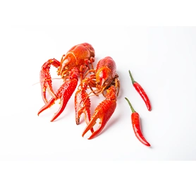 Crayfish