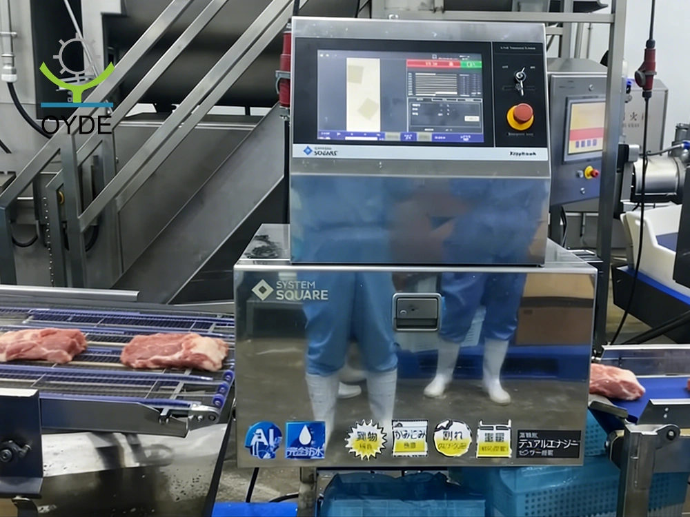 Meat X-Ray Machine