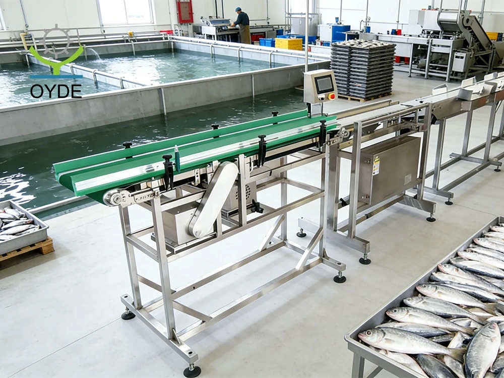Fish Belt-driven Weight Sorting Machine
