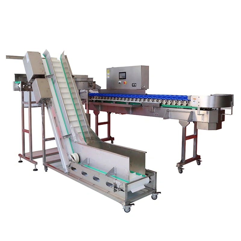 Energy Saving Automatic Weight Sorting Grading Machine