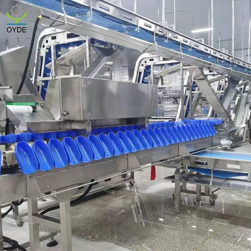 Energy Saving Automatic Weight Sorting Grading Machine