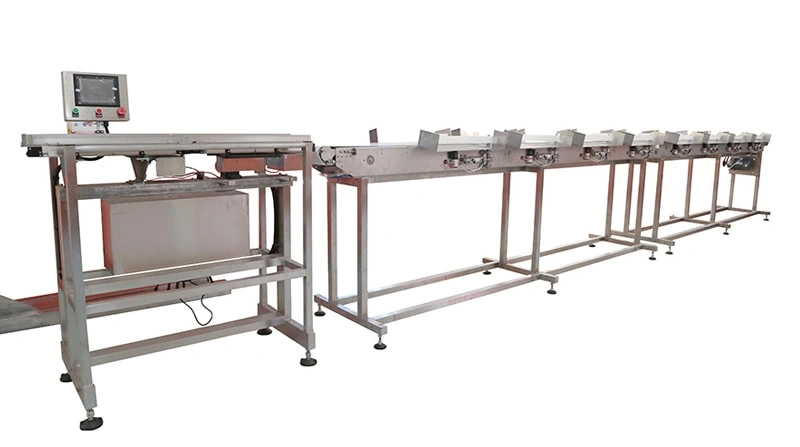 Intelligent Touch Screen Belt Weight Sorting Machine with Adjustable Speed