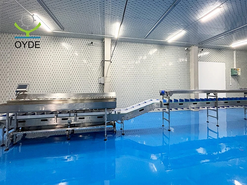 Flip Plate Combination Weigher: High Precision Weighing Machine for Durian, Seafood & Fresh Food